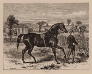 Saunterer by English School