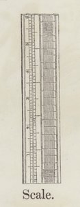 Scale by English School
