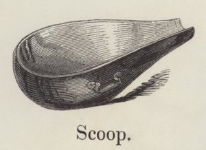 Scoop by English School