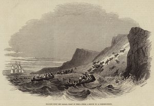 Sea-Lion Hunt off Callao, Coast of Peru (engraving)