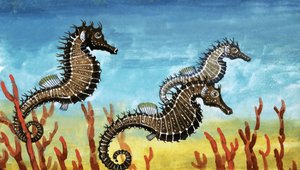 Seahorses
