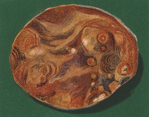 Seaside Pebble by English School