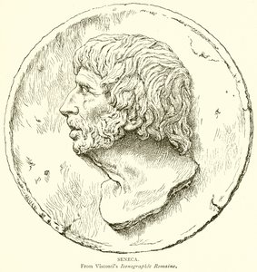 Seneca by English School