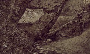 Seven Springs, the Source of the Thames