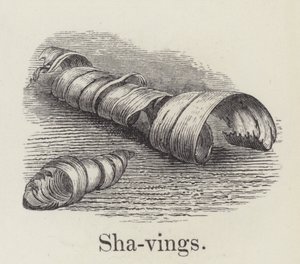 Shavings by English School