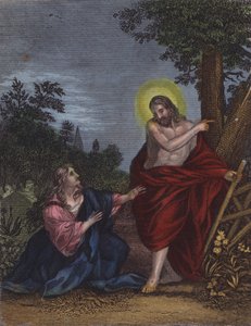 She, Joseph