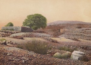 Shiloh by English School