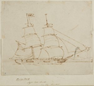 Ship Portrait - Brig Jack by English School