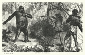Shooting a gorilla by English School