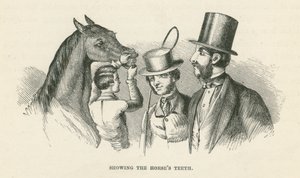 Showing the Horse