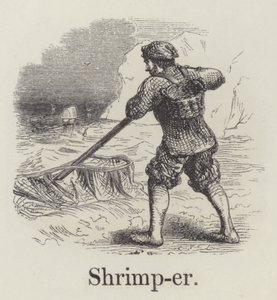 Shrimper by English School