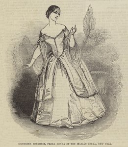Signorina Borghese, Prima Donna of the Italian Opera, New York by English School