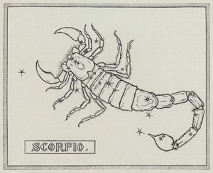 Signs of the zodiac: Scorpio by English School