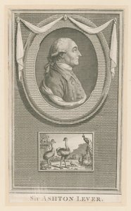 Sir Ashton Lever by English School