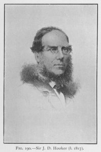 Sir Joseph Dalton Hooker (1817-1911), portrait