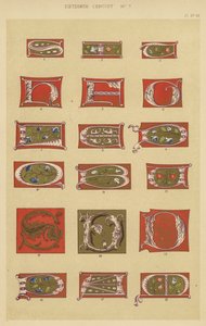 Sixteenth Century by English School