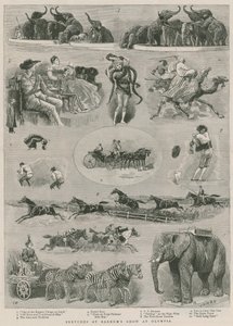 Sketches at Barnum