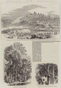 Sketches from Madagascar by English School