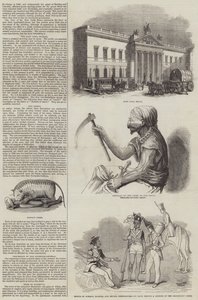 Sketches of India by English School
