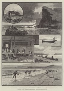 Sketches of the Behring Sea Seal-Fishery, St Paul