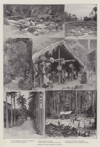 Sketches on the Venezuelan Boundary by English School