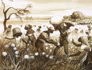 Slaves picking cotton