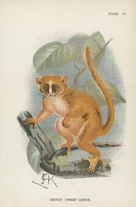 Smith