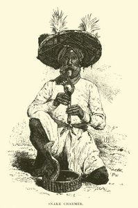 Snake Charmer by English School