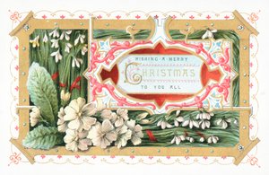 Snowdrops and Flowers
