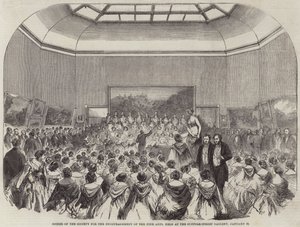 Soiree of the Society for the Encouragement of the Fine Arts, held at the Suffolk-Street Gallery, 26 January
