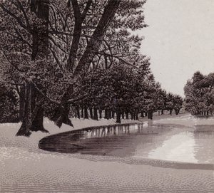 Sophia Gardens, Cardiff