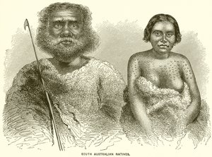 South Australian Natives