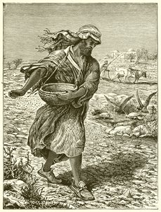 Sowing the Seed by English School