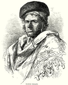 Spanish Peasant by English School