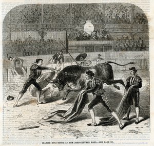 Spanish Bull Fight at the Agricultural Hall, Islington by English School