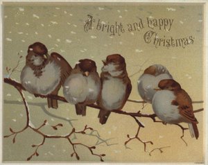 Sparrows Sitting on a Branch in the Snow by English School