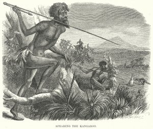 Spearing the Kangaroo