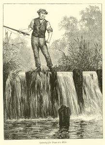 Spinning for Trout at a Weir by English School