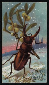 Stag Beetle Carrying Mistletoe in a Wintry Scene, Christmas Greetings Card by English School