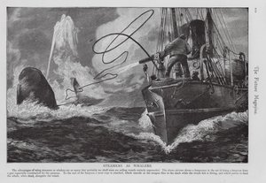 Steamer Used as a Whaling Ship