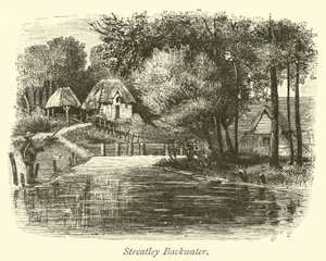 Streatley Backwater