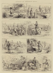 Studies at Suburban Races