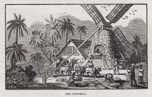 Sugar production by English School