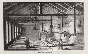 Sugar production by English School