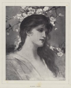 Summer Roses by English School