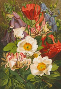 Summer Flowers by English School