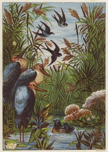Summer Morning with Birds by English School