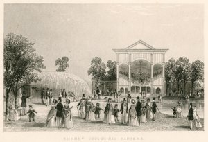 Surrey Zoological Gardens, Kennington, London: The New Orchestra