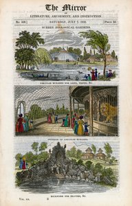 Surrey Zoological Gardens by English School