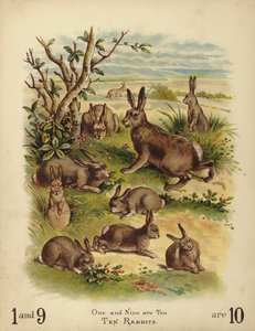 Ten Rabbits by English School
